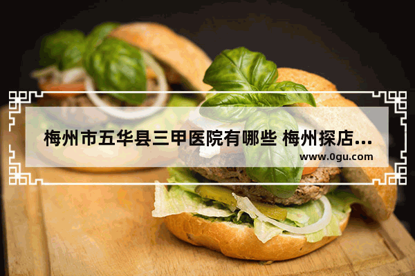 梅州市五华县三甲医院有哪些 梅州探店美食猪脑花加盟