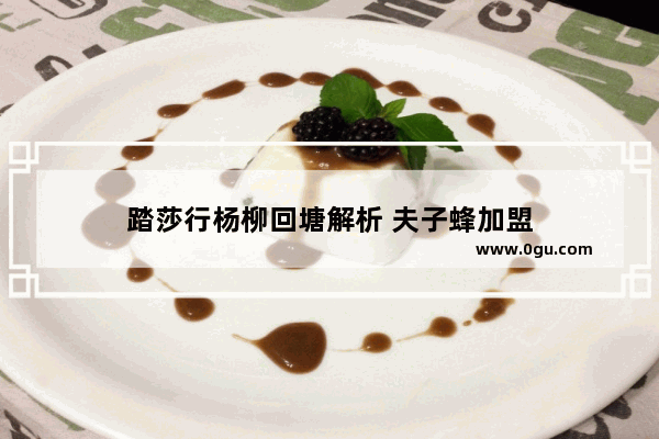 踏莎行杨柳回塘解析 夫子蜂加盟