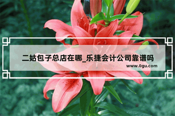 二姑包子总店在哪_乐捷会计公司靠谱吗
