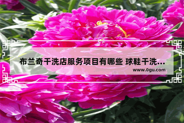 布兰奇干洗店服务项目有哪些 球鞋干洗店加盟店推荐