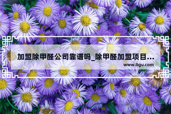 加盟除甲醛公司靠谱吗_除甲醛加盟项目靠谱吗