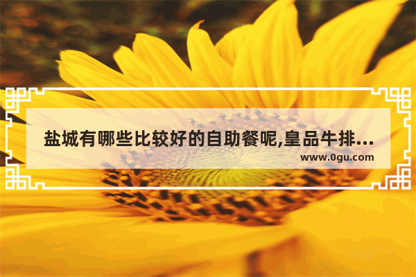 盐城有哪些比较好的自助餐呢,皇品牛排加盟