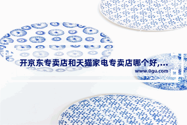 开京东专卖店和天猫家电专卖店哪个好,服装销售加盟店排行榜最新