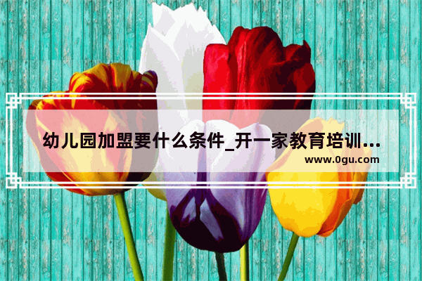 幼儿园加盟要什么条件_开一家教育培训加盟机构需要投资多少钱