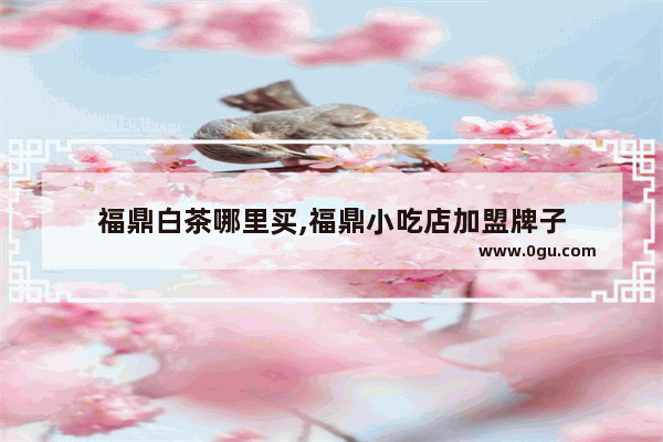 福鼎白茶哪里买,福鼎小吃店加盟牌子