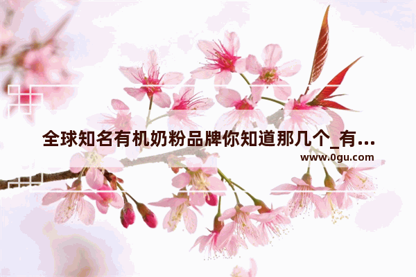 全球知名有机奶粉品牌你知道那几个_有机奶粉有哪些牌子