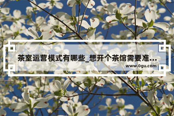 茶室运营模式有哪些_想开个茶馆需要准备哪些东西