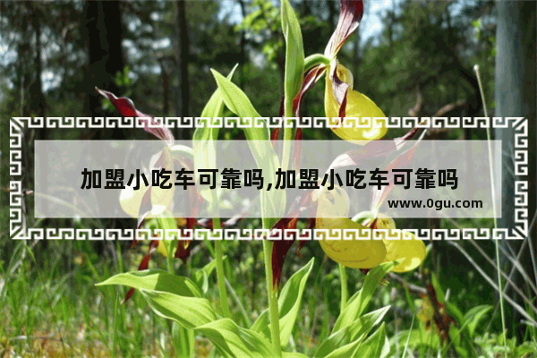 加盟小吃车可靠吗,加盟小吃车可靠吗