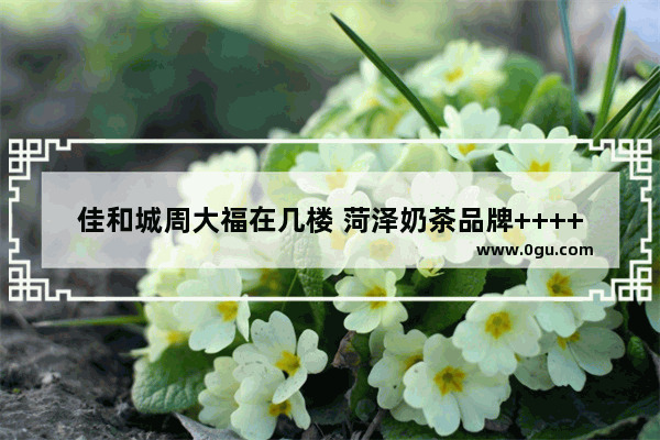 佳和城周大福在几楼 菏泽奶茶品牌++++店