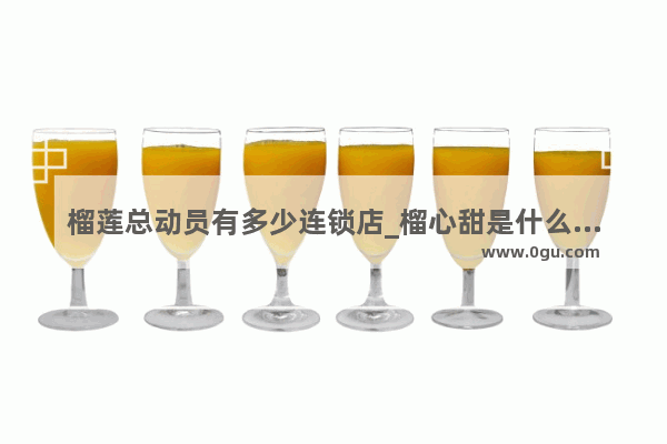 榴莲总动员有多少连锁店_榴心甜是什么合作模式
