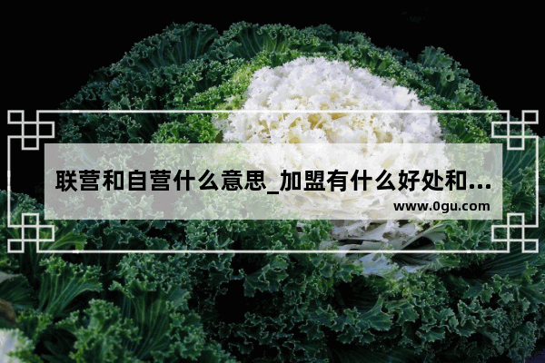 联营和自营什么意思_加盟有什么好处和坏处