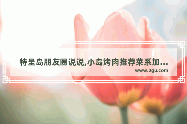 特呈岛朋友圈说说,小岛烤肉推荐菜系加盟店