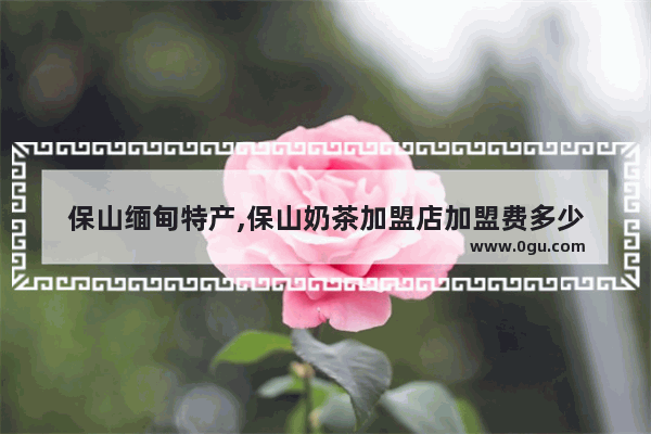 保山缅甸特产,保山奶茶加盟店加盟费多少