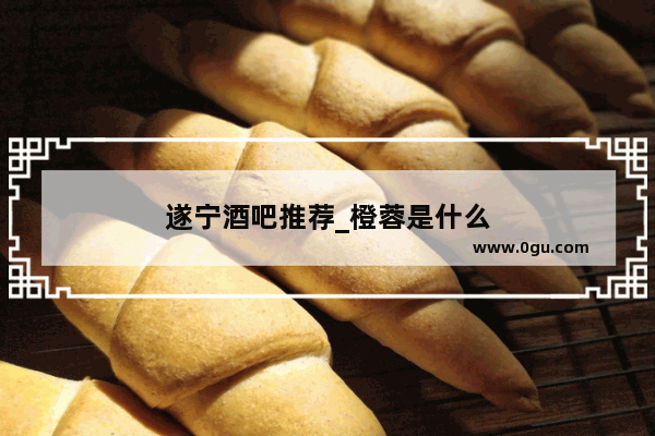 遂宁酒吧推荐_橙蓉是什么