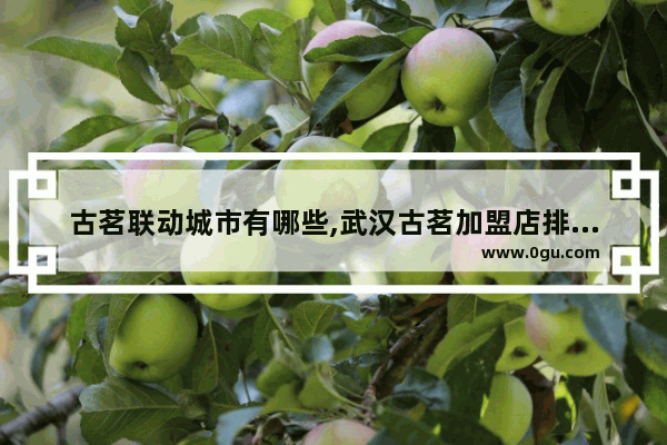 古茗联动城市有哪些,武汉古茗加盟店排行榜