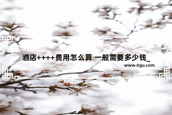 酒店++++费用怎么算 一般需要多少钱_汉庭是连锁吗