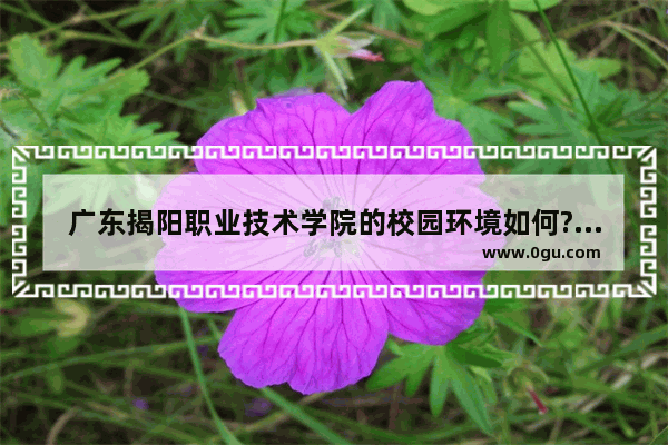 广东揭阳职业技术学院的校园环境如何?学习气氛和教学质量好吗_揭阳街舞服装品牌加盟