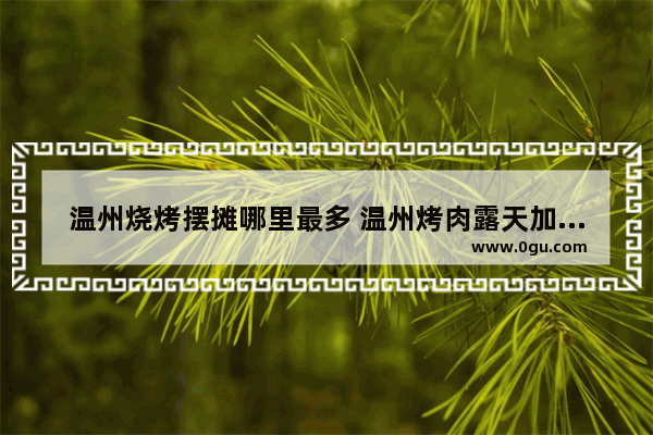 温州烧烤摆摊哪里最多 温州烤肉露天加盟店推荐