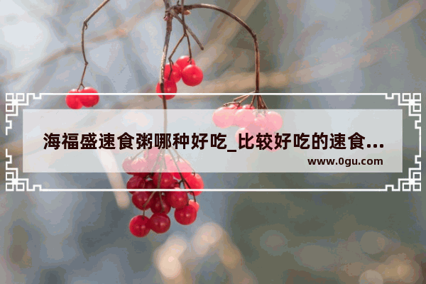海福盛速食粥哪种好吃_比较好吃的速食有哪些