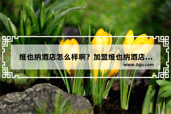 维也纳酒店怎么样啊？加盟维也纳酒店能够赚钱吗_好多有钱人都加盟维也纳酒店 维也纳酒店真的投资回报率那么高吗