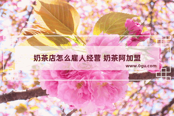 奶茶店怎么雇人经营 奶茶阿加盟