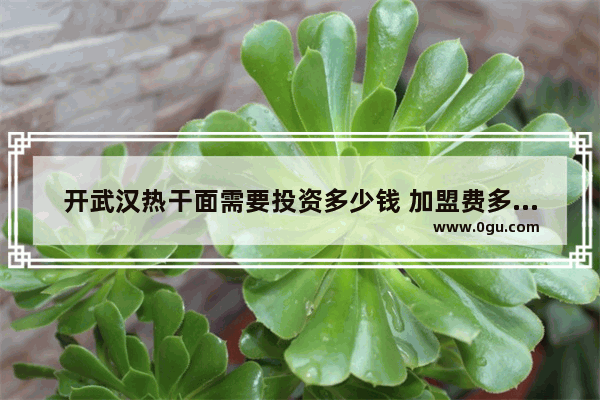 开武汉热干面需要投资多少钱 加盟费多少钱,武汉特产速食小吃店加盟