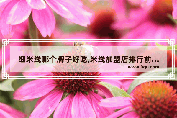 细米线哪个牌子好吃,米线加盟店排行前十强