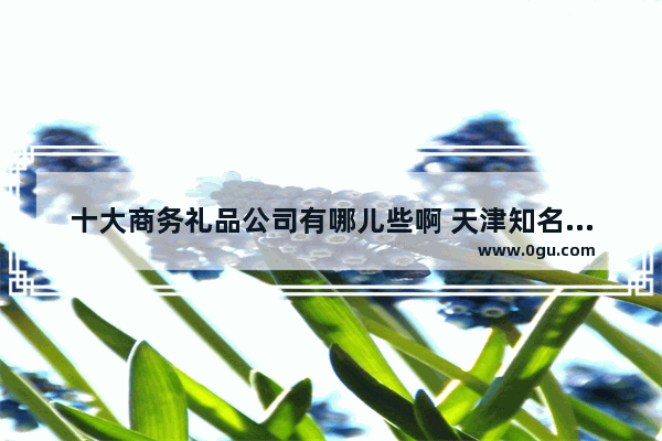 十大商务礼品公司有哪儿些啊 天津知名礼品加盟品牌