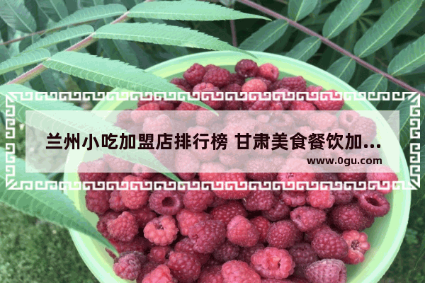兰州小吃加盟店排行榜 甘肃美食餐饮加盟费用明细