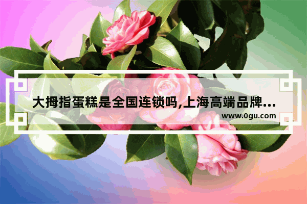 大拇指蛋糕是全国连锁吗,上海高端品牌蛋糕店加盟