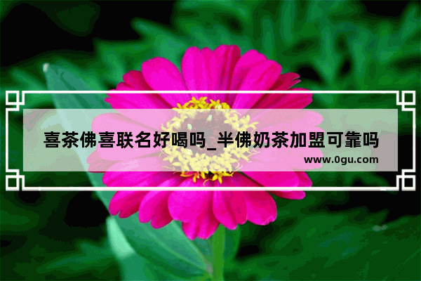 喜茶佛喜联名好喝吗_半佛奶茶加盟可靠吗
