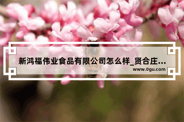 新鸿福伟业食品有限公司怎么样_贤合庄菜单全国统一吗