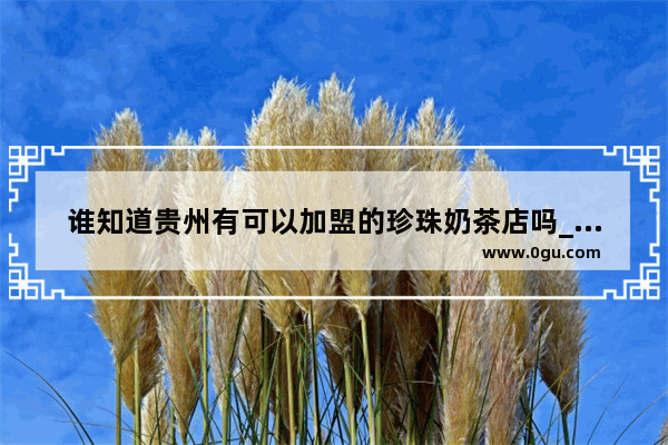 谁知道贵州有可以加盟的珍珠奶茶店吗_哔哔熊奶茶什么时候起源的