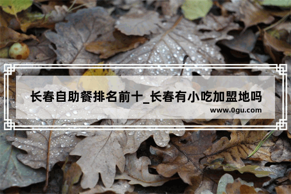 长春自助餐排名前十_长春有小吃加盟地吗
