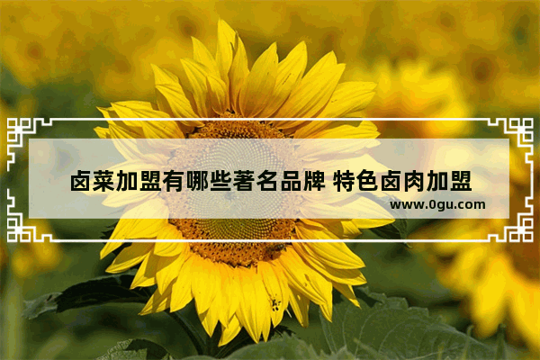 卤菜加盟有哪些著名品牌 特色卤肉加盟