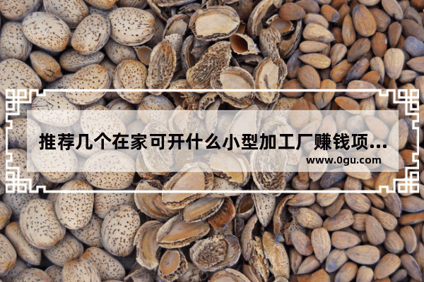 推荐几个在家可开什么小型加工厂赚钱项目,大萝小椒++++店