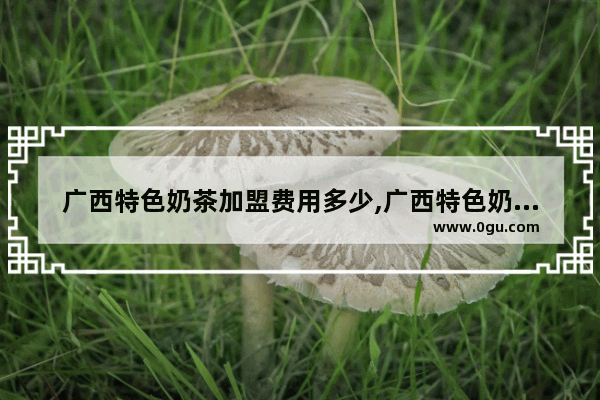 广西特色奶茶加盟费用多少,广西特色奶茶加盟费用多少