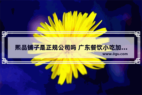 熙品铺子是正规公司吗 广东餐饮小吃加盟店排行榜