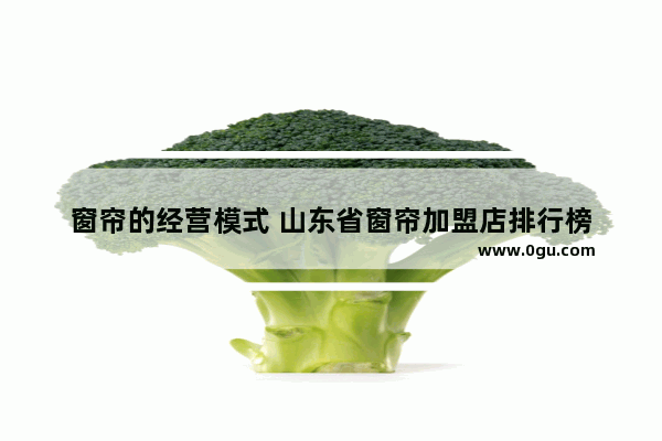 窗帘的经营模式 山东省窗帘加盟店排行榜