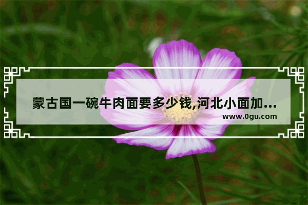 蒙古国一碗牛肉面要多少钱,河北小面加盟品牌收费