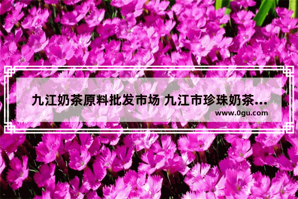 九江奶茶原料批发市场 九江市珍珠奶茶加盟吗