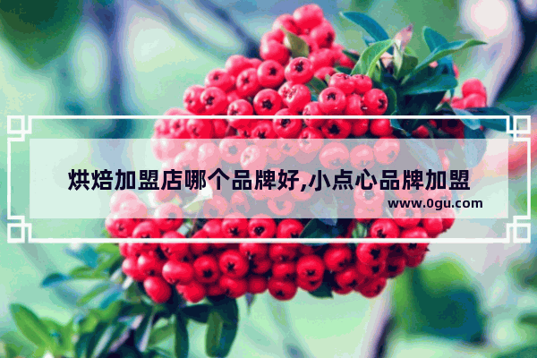 烘焙加盟店哪个品牌好,小点心品牌加盟