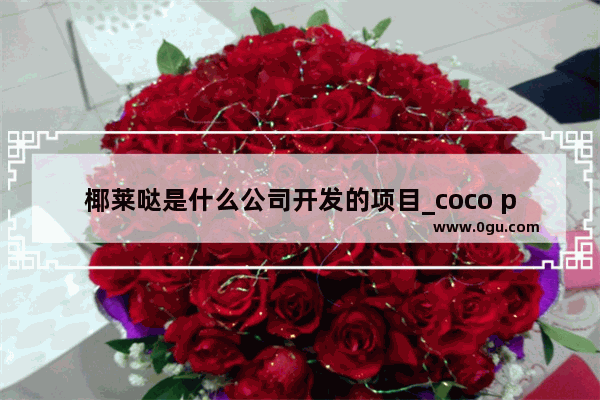 椰莱哒是什么公司开发的项目_coco pomelo与coco一样么