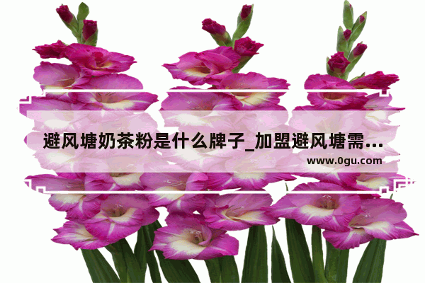 避风塘奶茶粉是什么牌子_加盟避风塘需要多少钱