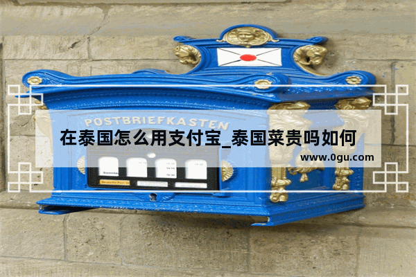 在泰国怎么用支付宝_泰国菜贵吗如何