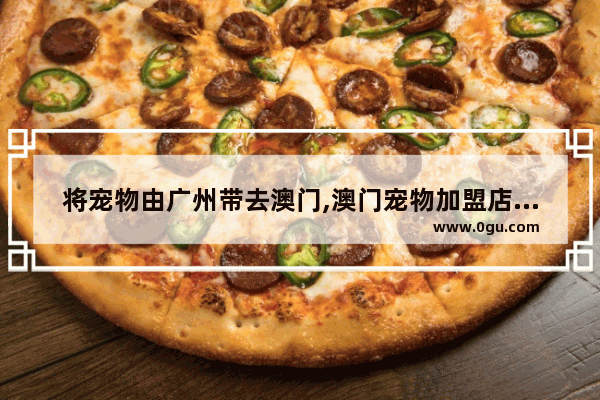 将宠物由广州带去澳门,澳门宠物加盟店排行榜大全