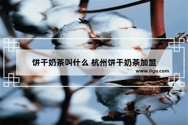 饼干奶茶叫什么 杭州饼干奶茶加盟