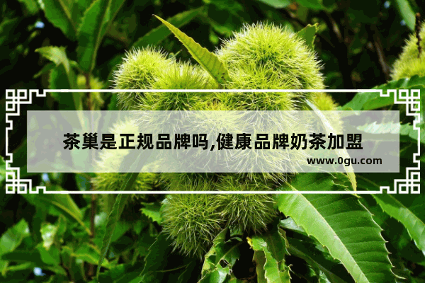 茶巢是正规品牌吗,健康品牌奶茶加盟