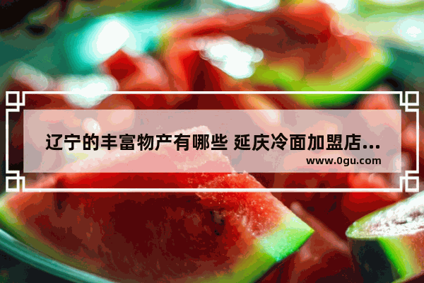 辽宁的丰富物产有哪些 延庆冷面加盟店排行榜第一