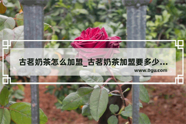 古茗奶茶怎么加盟_古茗奶茶加盟要多少费用